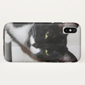 Brat Cat iPhone Case (Rückseite (Horizontal))