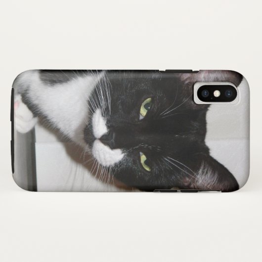 Brat Cat iPhone Case (Rückseite (Horizontal))