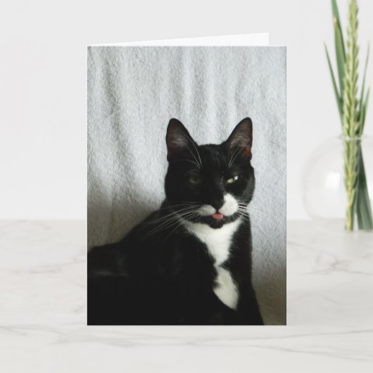 Brat Cat Razzberry Birthday Karte (Vorderseite)