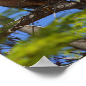 Bratpfanne Poster (Ecke)