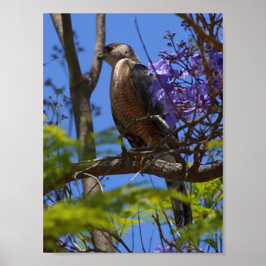 Bratpfanne Poster (Vorne)