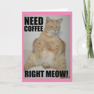 BRAUCHE JETZT KAFFEE! Manx-Katze sitzt lustig Karte