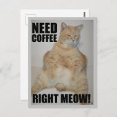 BRAUCHEN KAFFEE RICHTIG! Manx Cat Sitting Funny Postkarte (Vorne/Hinten)
