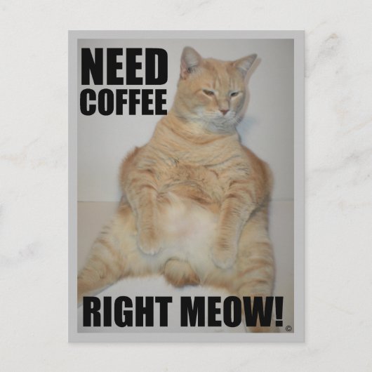 BRAUCHEN KAFFEE RICHTIG! Manx Cat Sitting Funny Postkarte (Vorderseite)