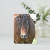 Brauchen Sie einen Haarschnitt Postkarte (Stehend Vorderseite)