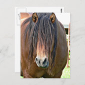 Brauchen Sie einen Haarschnitt Postkarte (Vorne/Hinten)