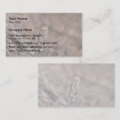 Brauerspinne Visitenkarte (Vorne/Hinten)