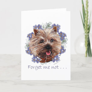 Braun Cairn Terrier Vergissmeinnicht Karte