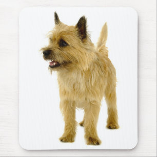 Braun Cairn Terrier Welpenhund Mauspad