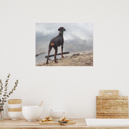 Braun, der Doberman Poster (Küche)