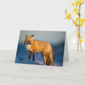 Braun Fox Grußkarte Karte (Gelbe Blume)