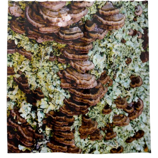 Braun-grüner Duschvorhang (Vorderseite)