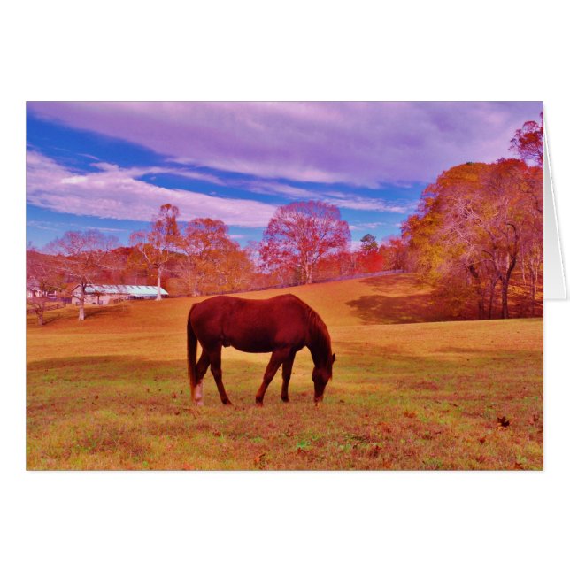 > Braun in einem träumfarbenen Feld (Vorderseite (Horizontal))