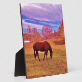 > Braun in einem träumfarbenen Feld Fotoplatte (Seite)