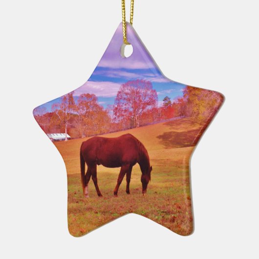 > Braun in einem träumfarbenen Feld Keramikornament (Links)