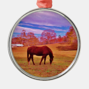 > Braun in einem träumfarbenen Feld Ornament Aus Metall