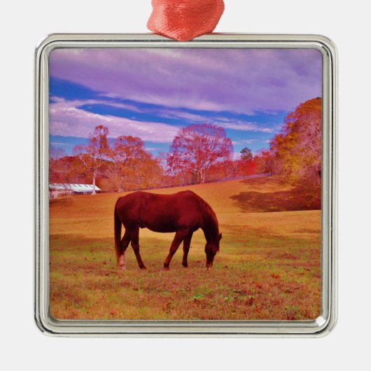 > Braun in einem träumfarbenen Feld Silbernes Ornament (Vorne)