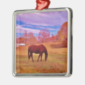 > Braun in einem träumfarbenen Feld Silbernes Ornament (Links)