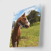 Braun Kastanie Pferd Bedarf Haartrockner, Quadratische Wanduhr (Winkel)