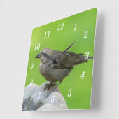 Braun Kopf Cowbird Wall Uhr (Winkel)