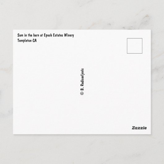 Braun Pferd im Stall in Epoch Anwesens Weinkeller Postkarte (Rückseite)