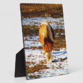 Braun und cremefarbenes Miniaturpferd im Schnee. Fotoplatte (Seite)