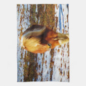 Braun und cremefarbenes Miniaturpferd im Schnee. Geschirrtuch (Vertikal)