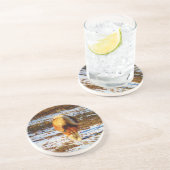 Braun und cremefarbenes Miniaturpferd im Schnee. Getränkeuntersetzer (Seite)