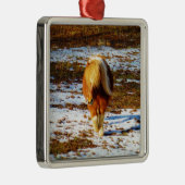 Braun und cremefarbenes Miniaturpferd im Schnee. Silbernes Ornament (Rechts)