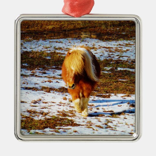 Braun und cremefarbenes Miniaturpferd im Schnee. Silbernes Ornament (Vorne)