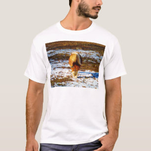 Braun und cremefarbenes Miniaturpferd im Schnee. T-Shirt