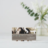 Braun und Weiß-Show-Pferd Visitenkarte (Stehend Vorderseite)