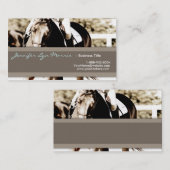 Braun und Weiß-Show-Pferd Visitenkarte (Vorne/Hinten)