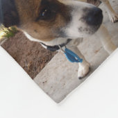 Braun- und Weißfuchs-Miniaturterrier, Fleecedecke (Ecke)