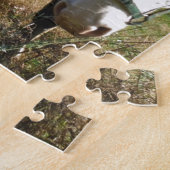 Braun- und Weißpferd, Blume Queen Ann Lace Puzzle (Seite)