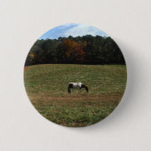 Braun- und Weißpferd Button (Vorderseite)