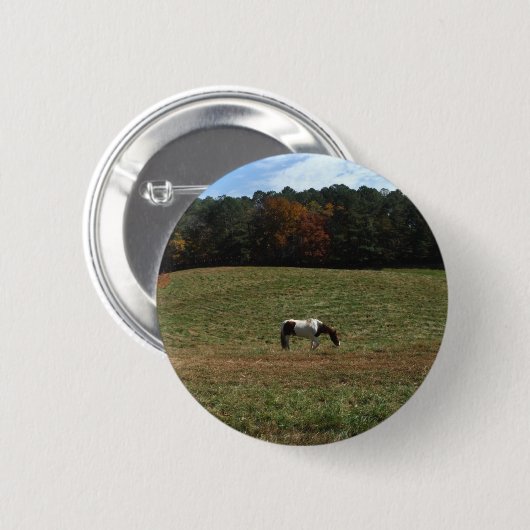 Braun- und Weißpferd Button (Vorne & Hinten)