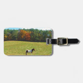 Braun- und Weißpferd, Herbstbäume, blauer Himmel Gepäckanhänger (Vorderseite horizontal)