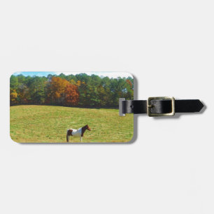 Braun- und Weißpferd, Herbstbäume, blauer Himmel Gepäckanhänger