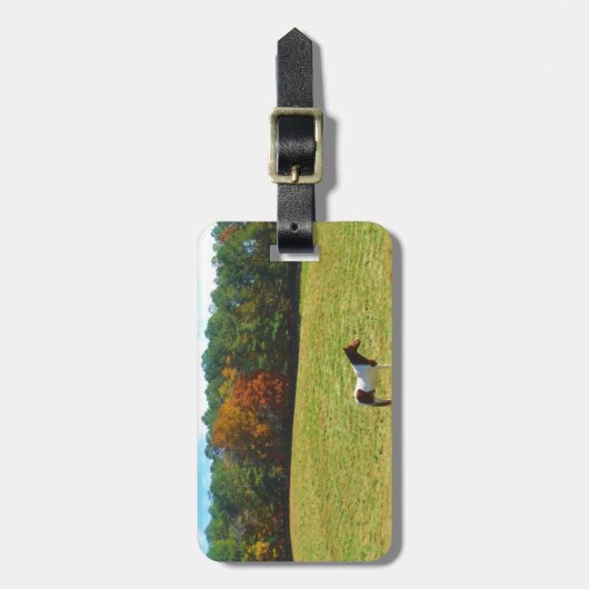 Braun- und Weißpferd, Herbstbäume, blauer Himmel Gepäckanhänger (Vorderseite vertikal)