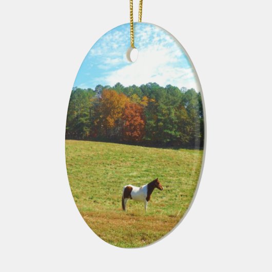 Braun- und Weißpferd, Herbstbäume, blauer Himmel Keramikornament (Links)