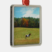 Braun- und Weißpferd, Herbstbäume, blauer Himmel Ornament Aus Metall (Rechts)