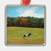 Braun- und Weißpferd, Herbstbäume, blauer Himmel Ornament Aus Metall (Vorne)