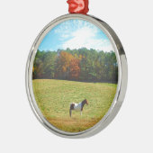 Braun- und Weißpferd, Herbstbäume, blauer Himmel Ornament Aus Metall (Links)