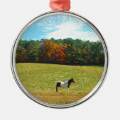Braun- und Weißpferd, Herbstbäume, blauer Himmel Ornament Aus Metall (Vorne)