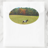 Braun- und Weißpferd, Herbstbäume, blauer Himmel Ovaler Aufkleber (Tasche)