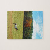 Braun- und Weißpferd, Herbstbäume, blauer Himmel Puzzle (Horizontal)