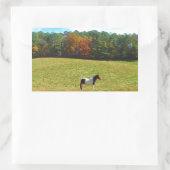 Braun- und Weißpferd, Herbstbäume, blauer Himmel Rechteckiger Aufkleber (Tasche)