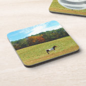 Braun- und Weißpferd, Herbstbäume, blauer Himmel Untersetzer (Linke Seite)