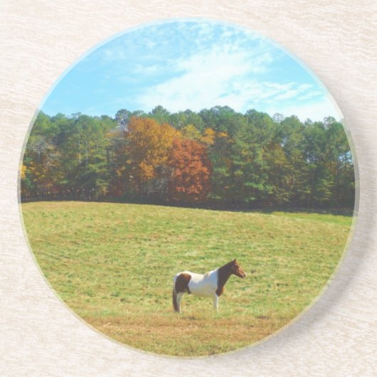 Braun- und Weißpferd, Herbstbäume, blauer Himmel Untersetzer (Vorne)